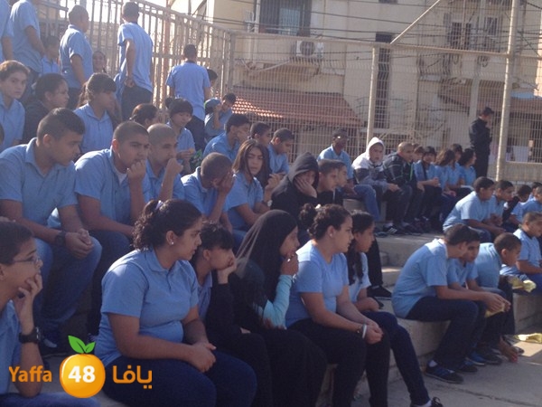 dawry kora shamela 1123 (4).JPG